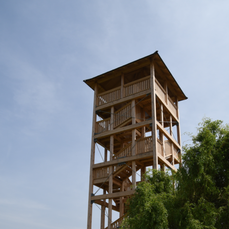 Ausblick genießen von der Aussichtswarte in Unterlamm | © Thermen- & Vulkanland | Christian Thomaser