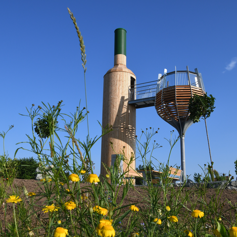 Durch die Flasche ins Glas | © Thermen- & Vulkanland | Christian Thomaser