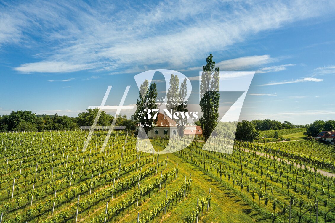 Weingarten  | © Thermen- & Vulkanland | pixelmaker.at