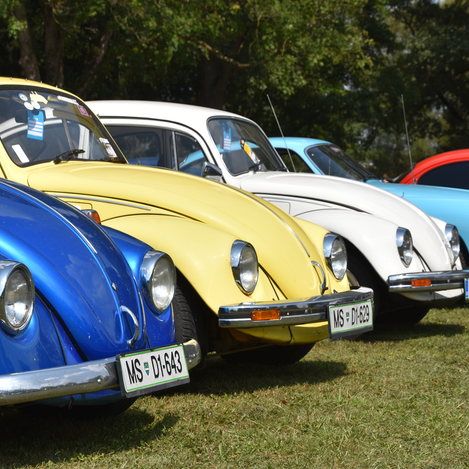 Internationales Käfertreffen | © Thermen- & Vulkanland | Christian Thomaser