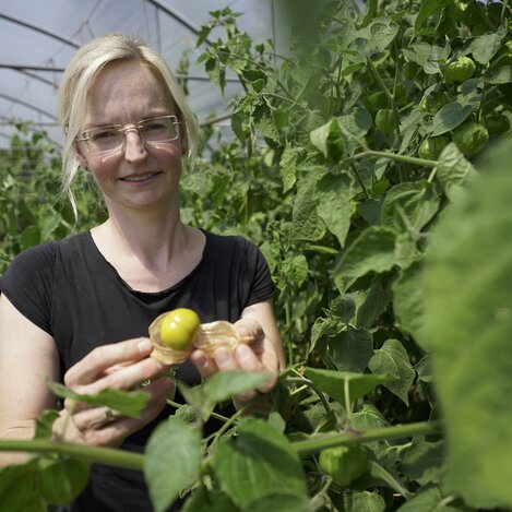 Exotisches Gemüse aus dem Thermen- & Vulkanland | © ServusTV | Andreas Graf
