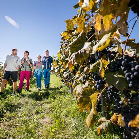 © Thermen- & Vulkanland Steiermark, Harald Eisenberger | Harald Eisenberger