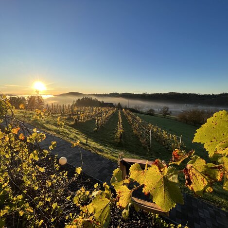 Zertifizierung Österreichs Wanderdörfer | © Österreichs Wanderdörfer | Günther Polanz