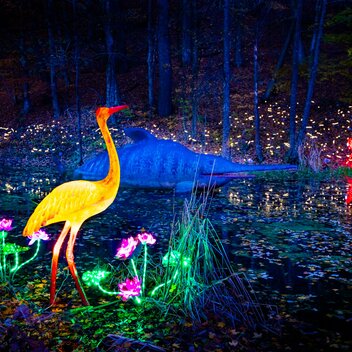 Lichterzauber im Styrasssic Park | © Styrassic Park  | Werner Krug