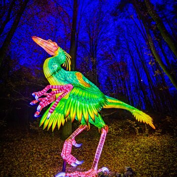 Lichterzauber im Styrassic Park | © Styrassic Park  | Werner Krug