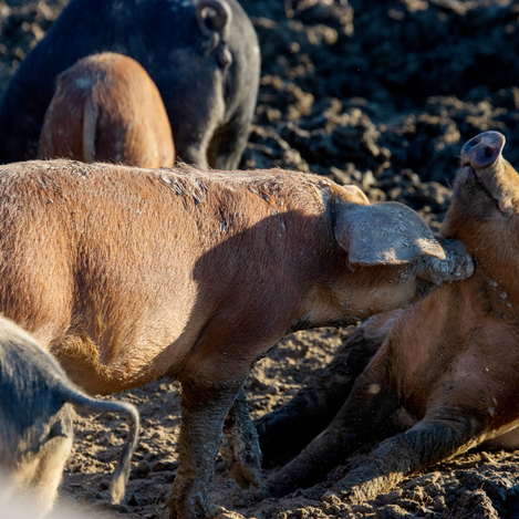 © Christian Thomaser | Christian Thomaser