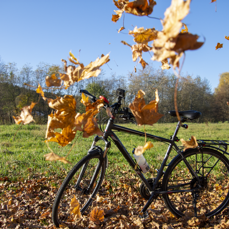 © Christian Thomaser | Christian Thomaser