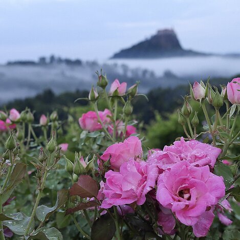 © enrico caracciolo | ENRICO CARACCIOLO