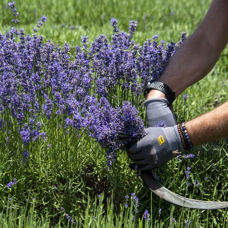 © Christian_Thomaser | Christian_Thomaser