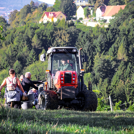 Weingut Winkler-Hermaden, WInzerkogel  | © Familie Winkler-Hermaden | Familie Winkler-Hermaden