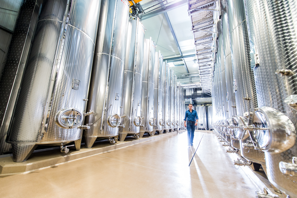 Weingut Krispel in Straden | © Thermen- & Vulkanland |  Bernhard Bergmann