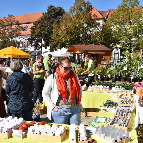 Bio-Fest in Fürstenfeld | © Thermen- & Vulkanland | Christian Thomaser