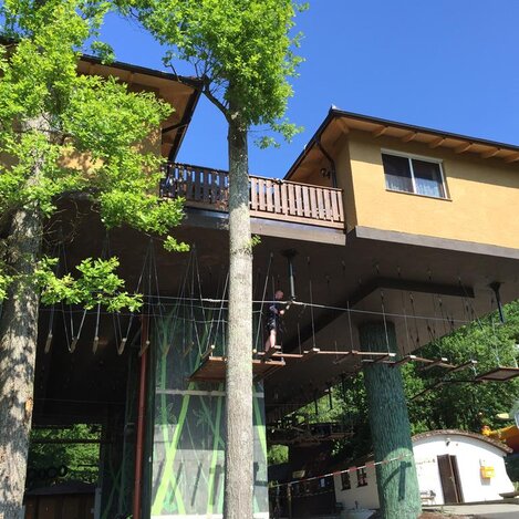 Baumhaus Neandertal | © Styrassic Park Bad Gleichenberg | © Styrassic Park Bad Gleichenberg