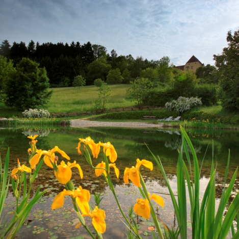 Schlossteich | © Schloss Obermayerhofen | © Schloss Obermayerhofen