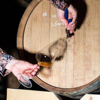 Reifung in Barrique-Fässern | © Noom