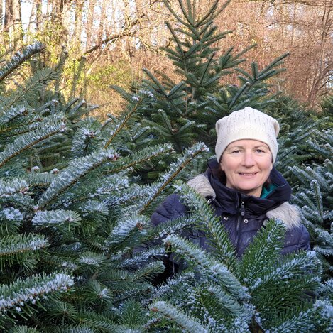 Steirische Christbäume von Christbäume Paar - Blumauer Tanne | © Christbäume Paar