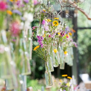 Bio-Schnittblumen | © Fotogenia | RENATE TRUMMER    FOTOGENIA