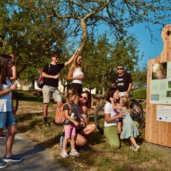 Genusstour | © Gemeinde Bad Waltersdorf