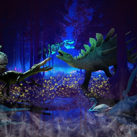 Lichterzauber | © Styrassic Park GmbH | Mag. Markus Ulrich