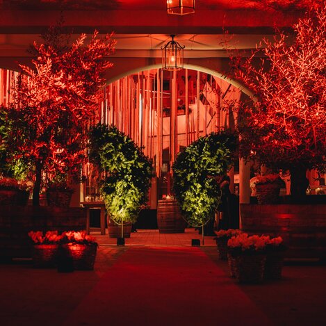 Sektgeflüster | © Eruption Winzer | Karl Schrotter