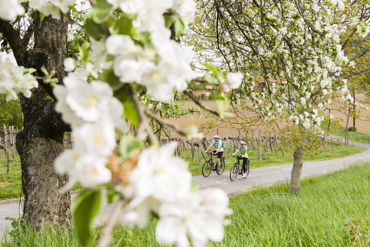 Radfahren im Frühling | © Thermen- & Vulkanland | pixelmaker.at