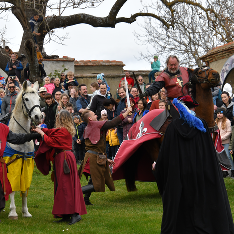 Ritterspiele & Schaukämpfe auf der Riegersburg | © Thermen- & Vulkanland | Christian Thomaser
