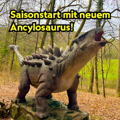 Neuer Ancylosaurus im Styrassic Park | © Styrassic Park  | Markus Ulrich