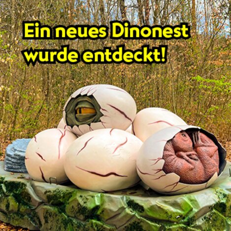 Ein neues Dinonest wurde entdeckt! | © Styrassic Park  | Markus Ulrich