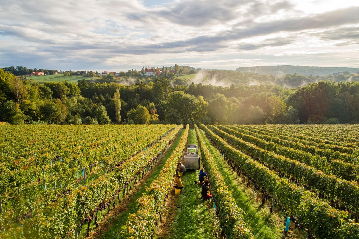 Weinschloss Thaller | Karl Schrotter Photograph