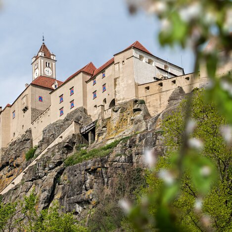 Ausblick auf die Riegersburg genießen | Rudi Ferder
