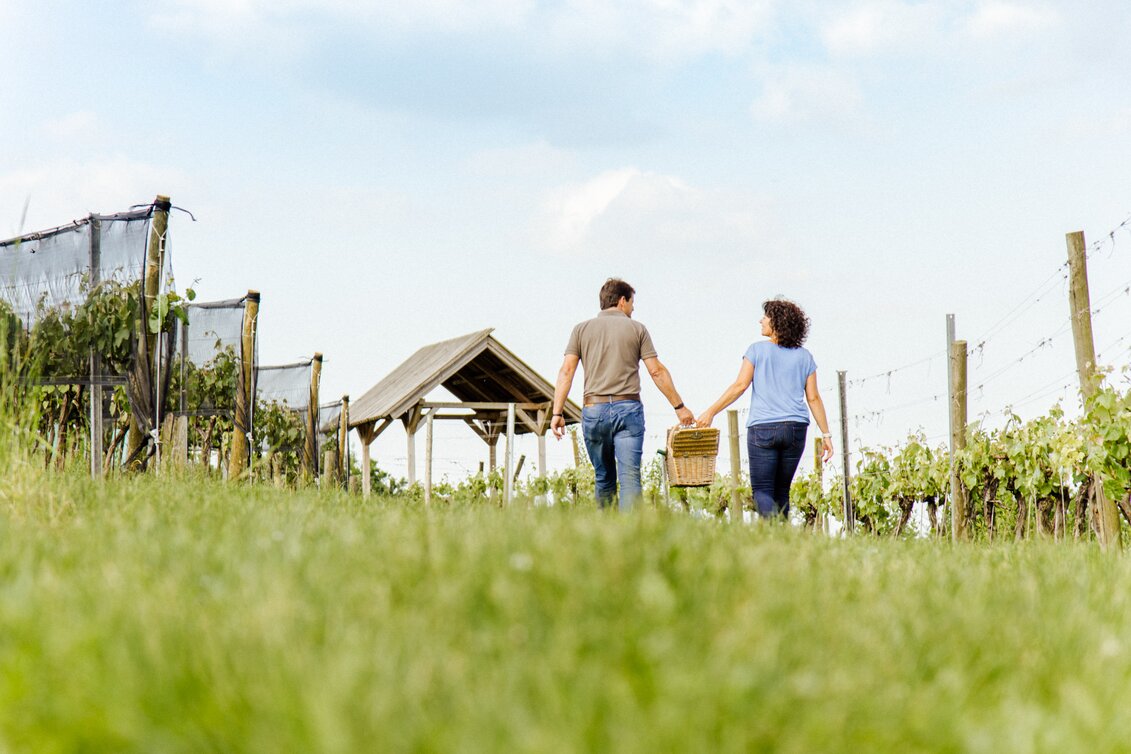 Picknick im Weingarten | © Bergstadl GmbH & Co KG | Mias Photoart