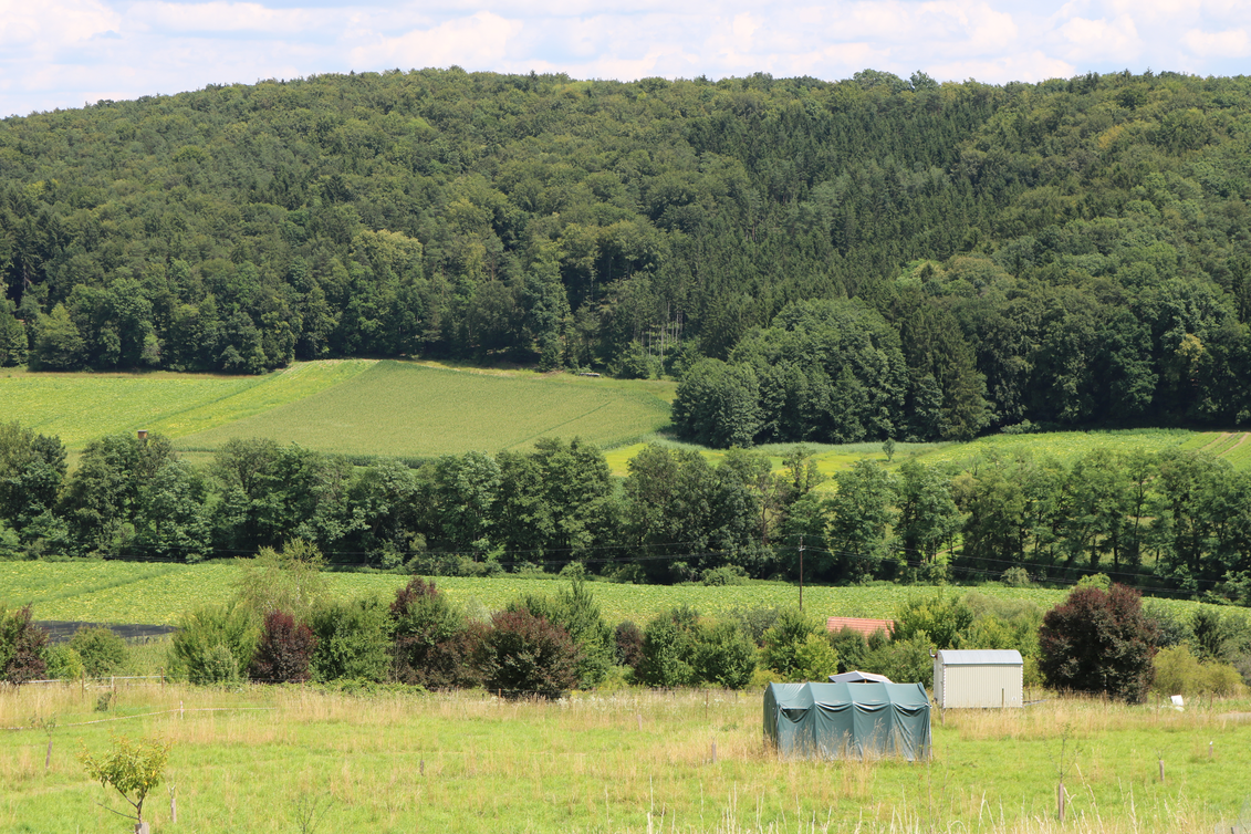 Fündig wurden sie schneller als gedacht, denn das idyllische Plätzchen in Petersdorf war das erste Grundstück, das sie besichtigten. Den beiden Tirolern war von Anfang an klar, dass es diese Region werden sollte. | © Antonia Gutzwar | © Antonia Gutzwar