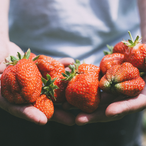  © Reicher Spargel | © KANIZAJ Marija-M. | 2016 | KANIZAJ Marija-M. | 2016