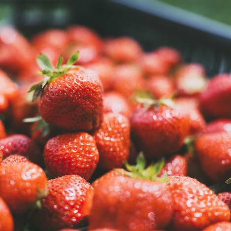  © Reicher Spargel | © KANIZAJ Marija-M. | 2016 | KANIZAJ Marija-M. | 2016