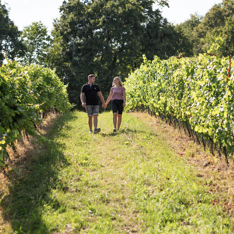 Weinwandern in Klöch | © Thermen- & Vulkanland | Kump Photography