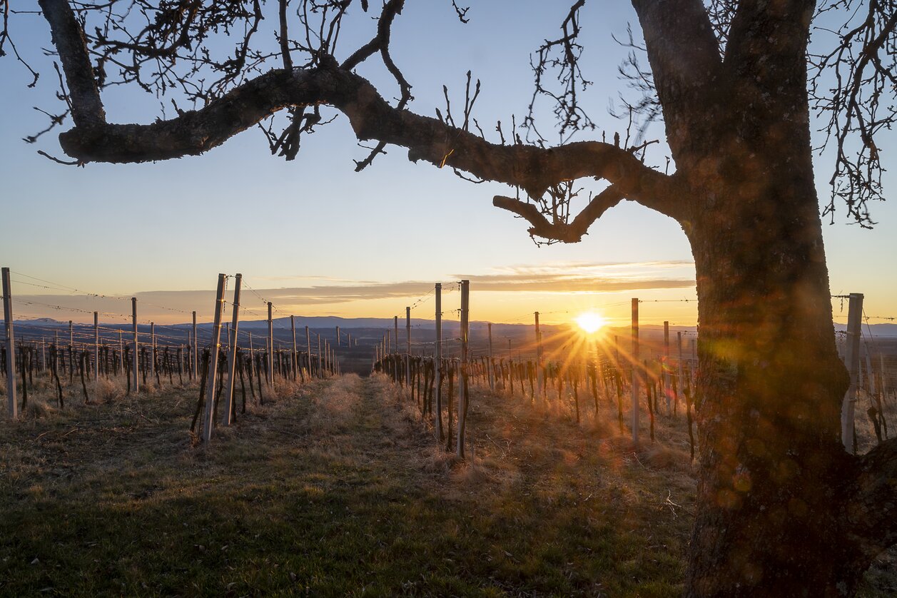 © Thermen- & Vulkanland | pixelmaker.at