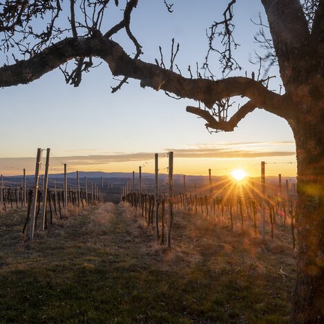 © Thermen- & Vulkanland | pixelmaker.at