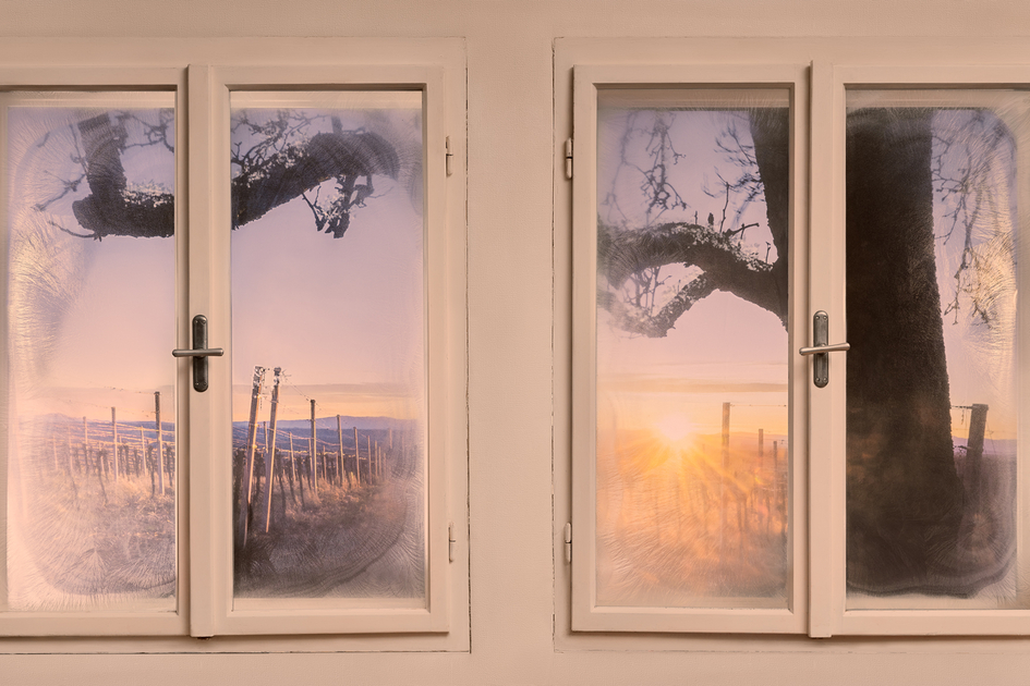 Eisblumen pflücken | © Thermen- & Vulkanland | pixelmaker.at