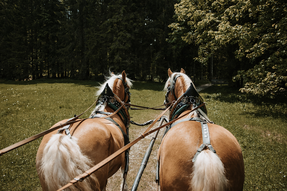 © Katrin Kerschbaumer Photography | Katrin Kerschbaumer Photography