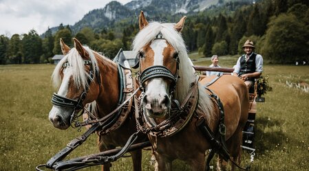 © Katrin Kerschbaumer Photography | Katrin Kerschbaumer Photography