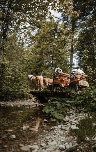 © Katrin Kerschbaumer Photography | Katrin Kerschbaumer Photography