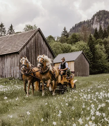 © Katrin Kerschbaumer Photography | Katrin Kerschbaumer Photography