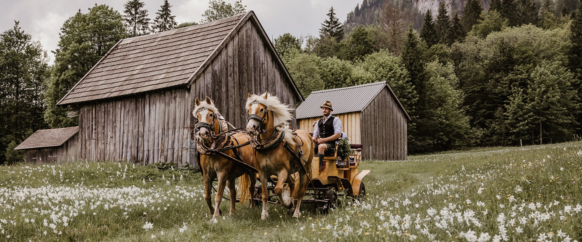 © Katrin Kerschbaumer Photography | Katrin Kerschbaumer Photography