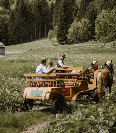 © Katrin Kerschbaumer Photography | Katrin Kerschbaumer Photography