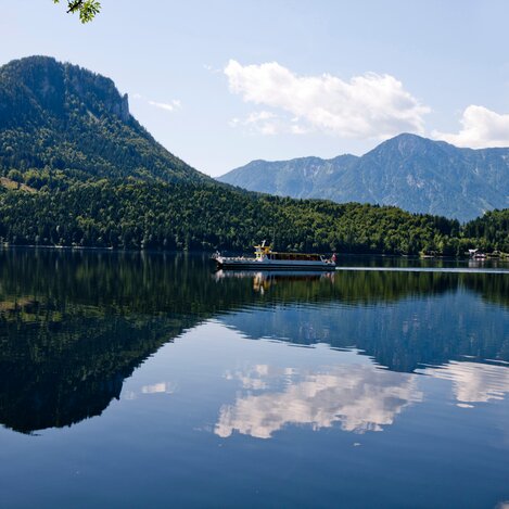 © Tom Lamm | ikarus.cc | Tom Lamm