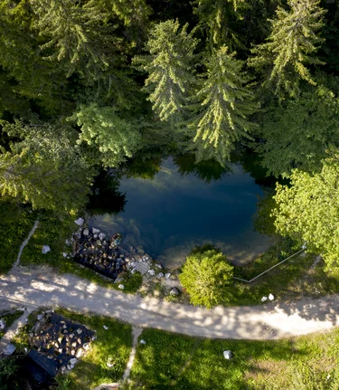 © Tom Lamm | ikarus.cc | Tom Lamm