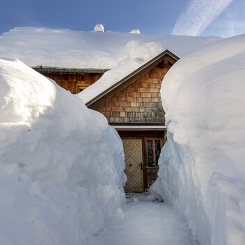 © Tom Lamm | ikarus.cc | Tom Lamm