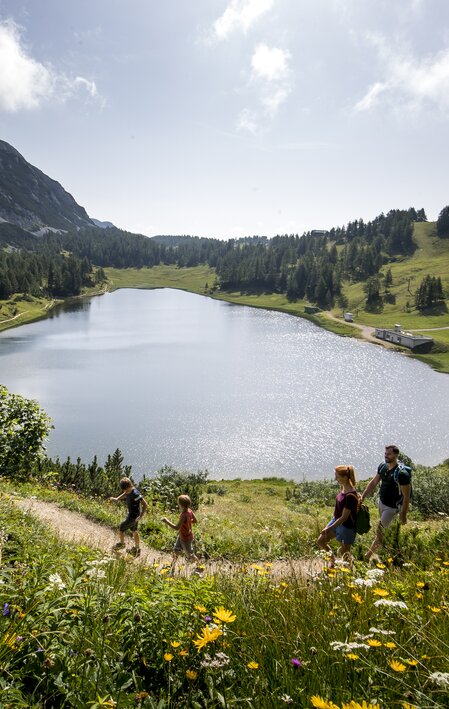 © Tom Lamm | ikarus.cc | Tom Lamm