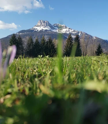 © TVB Ausseerland - Salzkammergut/Theresa Schwaiger