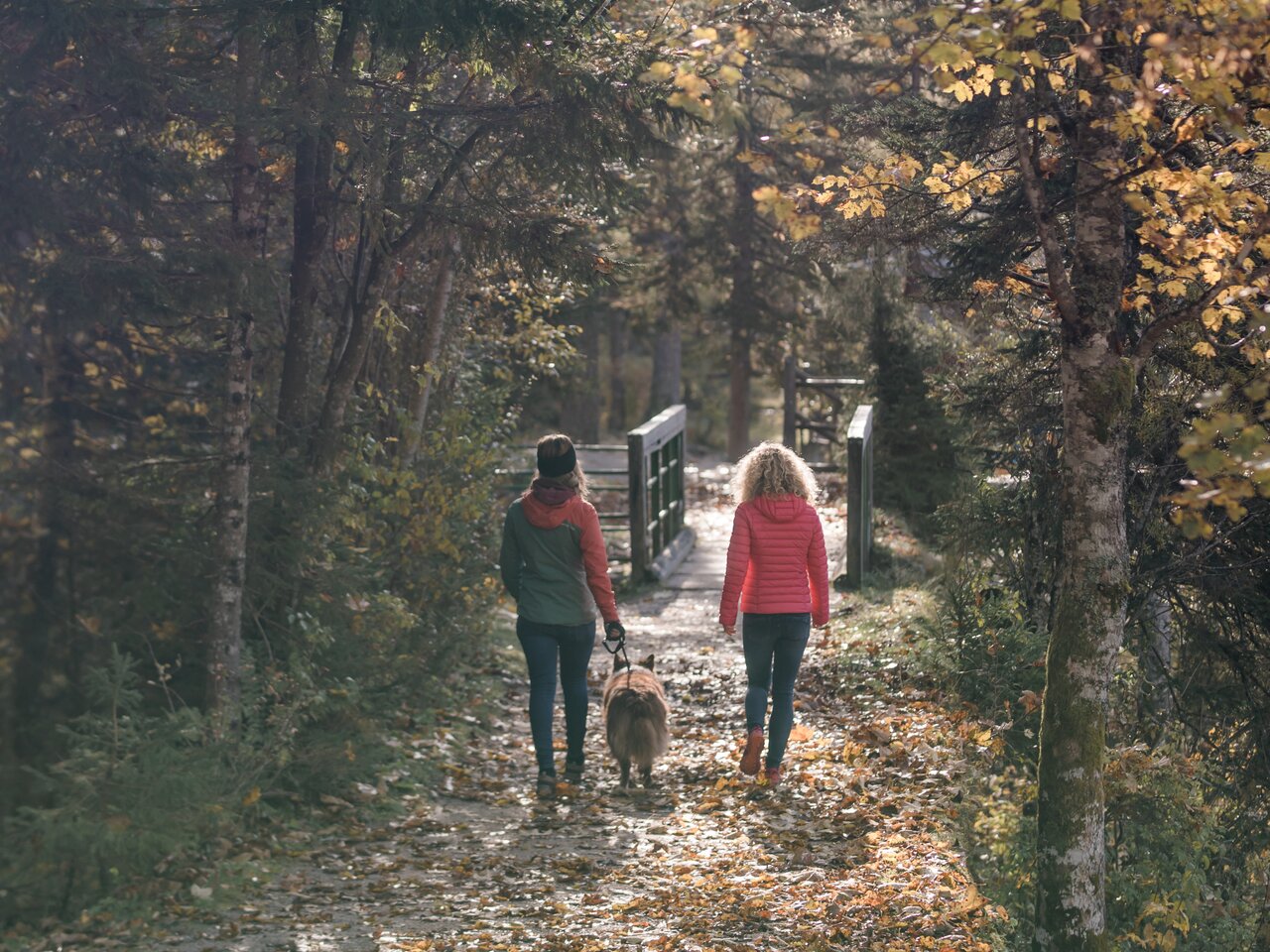 © Katrin Kerschbaumer Photography | Katrin Kerschbaumer Photography